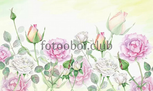 цветы, розы, акварель, дизайнерские, нежные, светлые